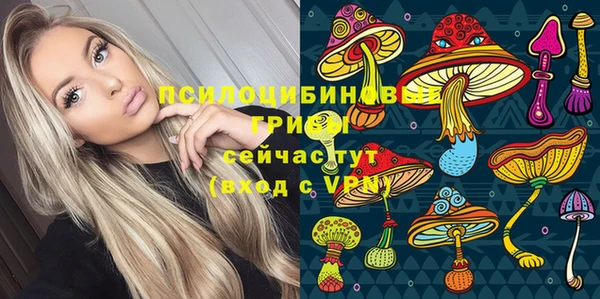 трава Аркадак