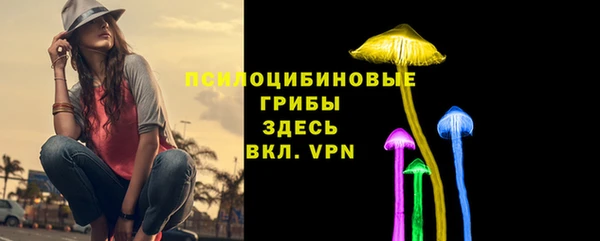шишки Алексин