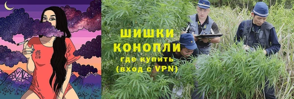 трава Аркадак