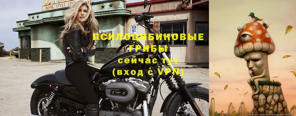 Альфа ПВП Арсеньев